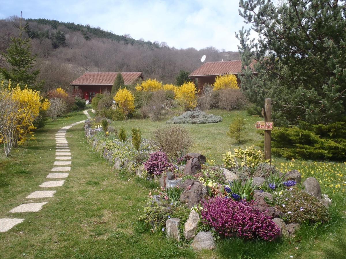 Les Chalets De La Vigne Grande Saint-Floret Ngoại thất bức ảnh